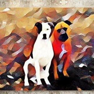 Meet your Posher, Susan